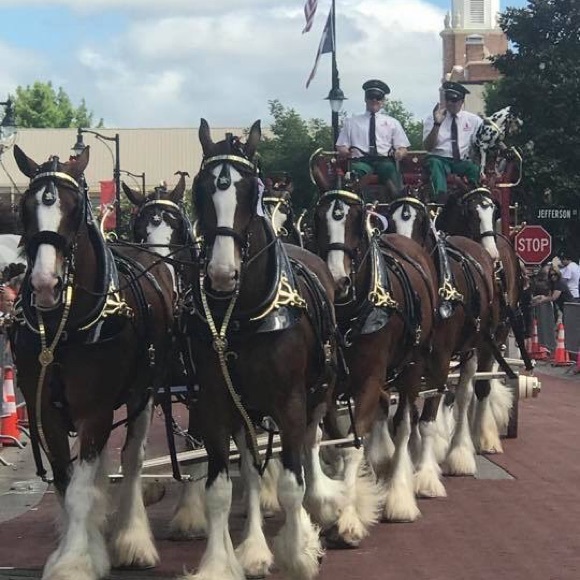 Meet your Posher, Leslie aka @TRENDYTREASURE1!!! - Picture 8 of 8